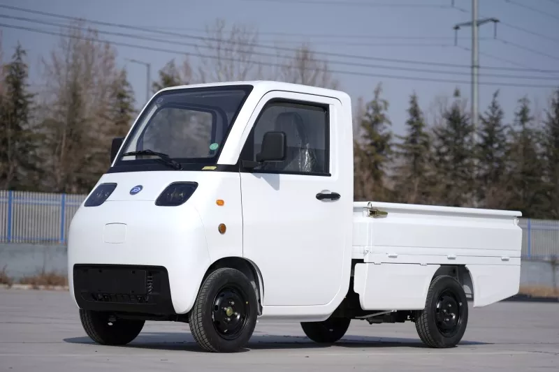 Mini Elektrofahrzeug Transportwagen 4 Räder Zwei Flügeltüren